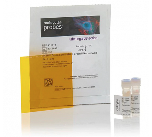 Краситель SYBR Green Nucleic Acid Gel Stain Starter Kit, Thermo FS